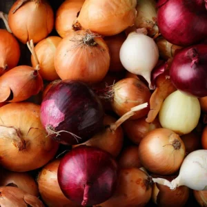 50 Mix Onion Bulbs - Assorted Varieties for Home Gardening