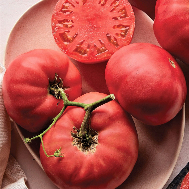 Tomato Plant Live | High-Yielding Tomato Plants for Gardens & Containers - Image 4