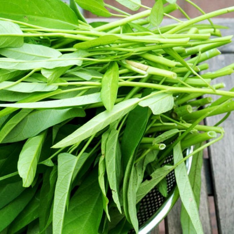 Water Spinach Seeds | Grow Nutritious Asian Greens at Home | Easy to Grow - Image 5