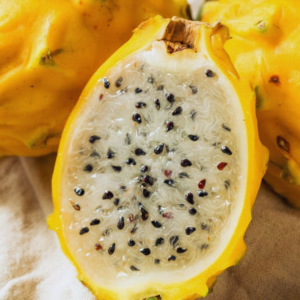 Dragon Fruit Plant – Live Cactus for Growing Exotic Fruit, Zones 9-11