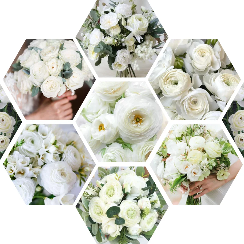 Ranunculus Bulbs For Fall Planting - 25 Ranunculus Corms, Blooming Perennial Flowers