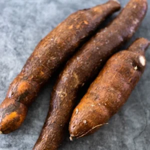 Sweet Red Cassava Yuca Manihot Esculenta Cuttings - 5 Yuca Cuttings, Ready for Planting, 6 to 8 Inch Long, High Yields