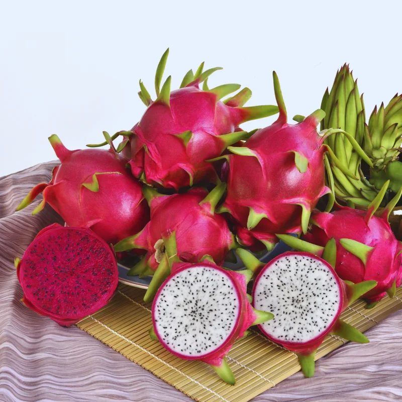 2 White Dragon Fruit Plants Live, 4 to 6 Inches Tall, Live Dragon Fruit Plant, Sweet Fruit Plant, Dragon Fruit Live Plant Indoor