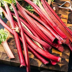 50 Rhubarb Seeds for Planting, Heirloom Non GMO Seeds, High Germination Rate, easy to Plant