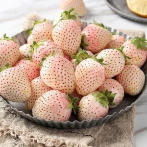 White Carolina Pineberry Plants - 10 Roots -Bareroot-Pineapple/Strawberry Flavor Strawberry Bareroots for Planting