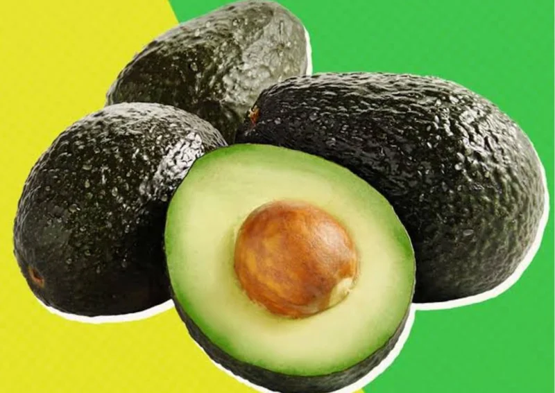 24-36 Inc Hass Avocado Tree Live Plant, Large Avocados Hass Tree Plant, Potted, Grafted Hass Avocado Plant Live Tree In Pot, No CA