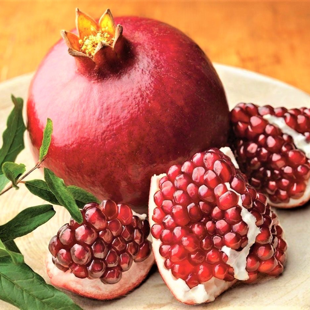 Live Pomegranate Tree Plant, Fruit-Bearing Pomegranate, 6-8 Inches Tall, Wonderful Pomegranate Tree, Pomegranate Plant Tree - Image 7