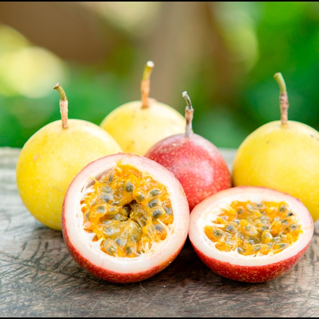 5 to 10 inch Yellow Passionfruit Tree for Planting, Passion Fruit Tree Live Plant, Ready for Planting - Image 8