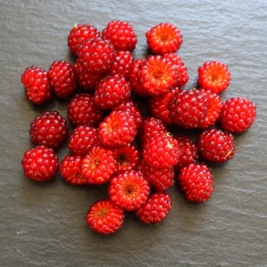 Japanese Red Wineberry Plant, Wineberry Edible Fruit Shrub, Bare Root 1-2 Feet Tall