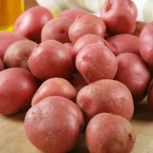 2 Pound Seed Potatoes, Potato Seeds For Planting, Seed Potatoes For Fall Spring Planting , Seed Potatoes For Planting, Potato Seeds, Red Potatoes