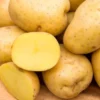2 Pound Seed Potatoes, Potato Seeds For Planting, Seed Potatoes For Fall Spring Planting , Seed Potatoes For Planting, Potato Seeds, Yukon Potatoes