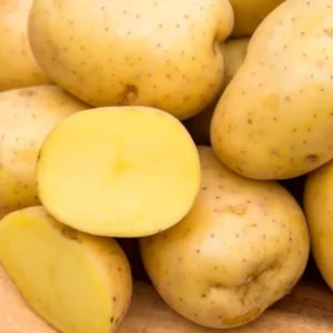 2 Pound Seed Potatoes, Potato Seeds For Planting, Seed Potatoes For Fall Spring Planting , Seed Potatoes For Planting, Potato Seeds, Yukon Potatoes