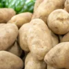 2 Pound Seed Potatoes, Potato Seeds For Planting, Seed Potatoes For Fall Spring Planting , Seed Potatoes For Planting, Potato Seeds, White Potatoes