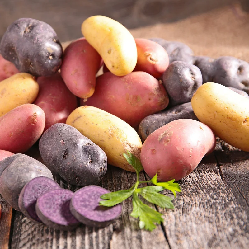 2 Pound Seed Potatoes, Potato Seeds For Planting, Seed Potatoes For Fall Spring Planting , Seed Potatoes For Planting, Potato Seeds, Mixed Potatoes