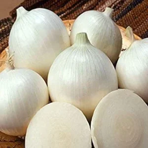 100 Onion Bulbs for Planting, Bulbing Onion Seeds, Onion Bulbs for Planting, Onion Sets, Bulk Onion Sets, White Onion Bulbs
