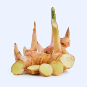 3 Galangal Plants, Large Ginger Plants Live, 4 to 7 Inches in Height, Live Ginger Plants, Ginger Live Plants for Garden, Ginger Well Rooted, Ready to Plant Indoor Outdoor