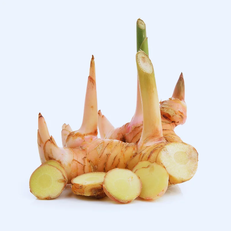 3 Galangal Plants, Large Ginger Plants Live, 4 to 7 Inches in Height, Live Ginger Plants, Ginger Live Plants for Garden, Ginger Well Rooted, Ready to Plant Indoor Outdoor