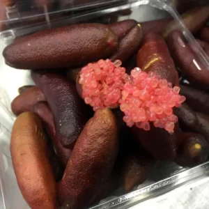 Red Finger Lime, Citrus Tree Live Plant, Well-Rooted, 1-2 Ft Tall for Garden Planting