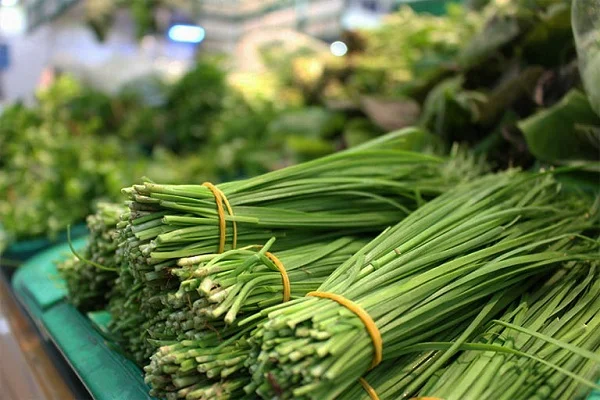 4 Heirloom Live Garlic Chives, Heirloom Leeks Plant, Hardy Perennial Chives Plant for Planting