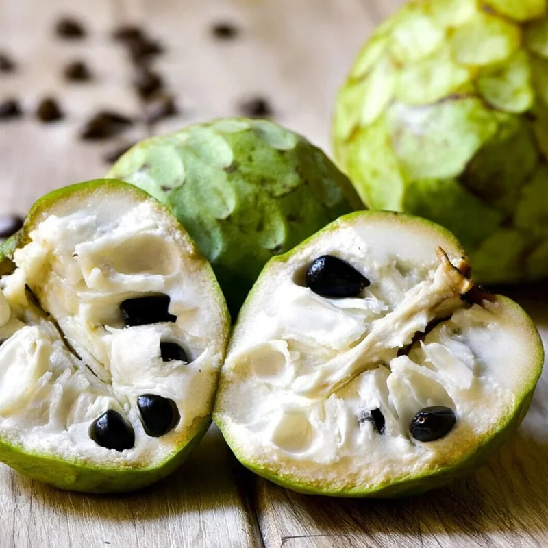 Cherimoya Tree Annona Sugar Apple Plant, 2 Feet Tall, Custard Apple Tree Live Plant, Sugar Apple Seedling