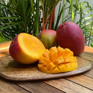 Butter Cream Mango Tree Grafted, 1.5-3 Feet, Live Mango Plant in Gallon Pot, Mango Tropical Tree