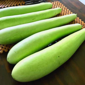 Gourd Seeds For Planting, 20 Seeds, Gourd Vegetable Seeds