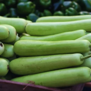 Gourd Seeds For Planting, 20 Seeds, Gourd Vegetable Seeds