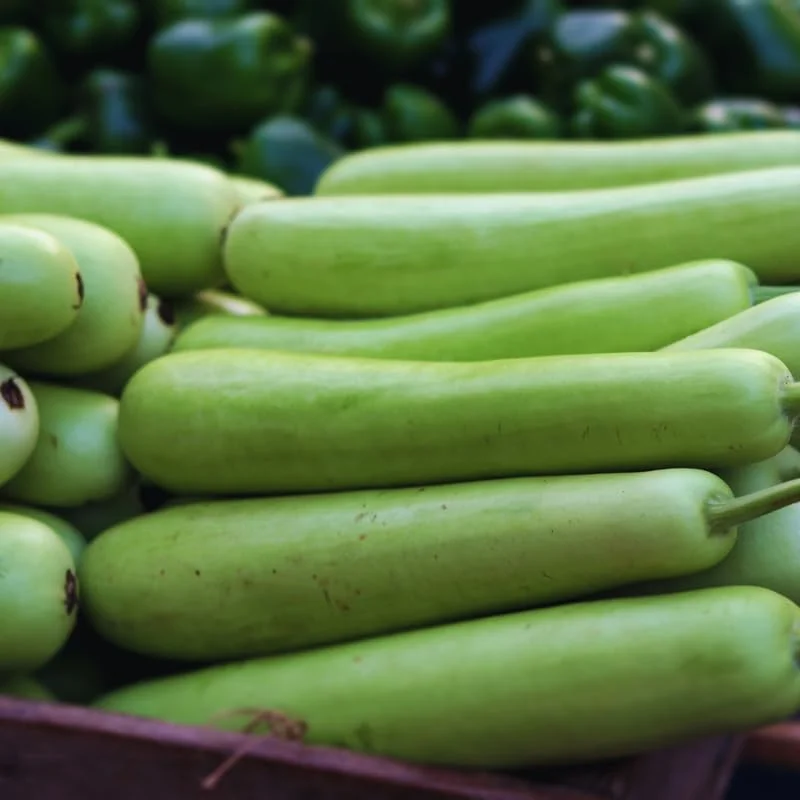 Gourd Seeds For Planting, 20 Seeds, Gourd Vegetable Seeds