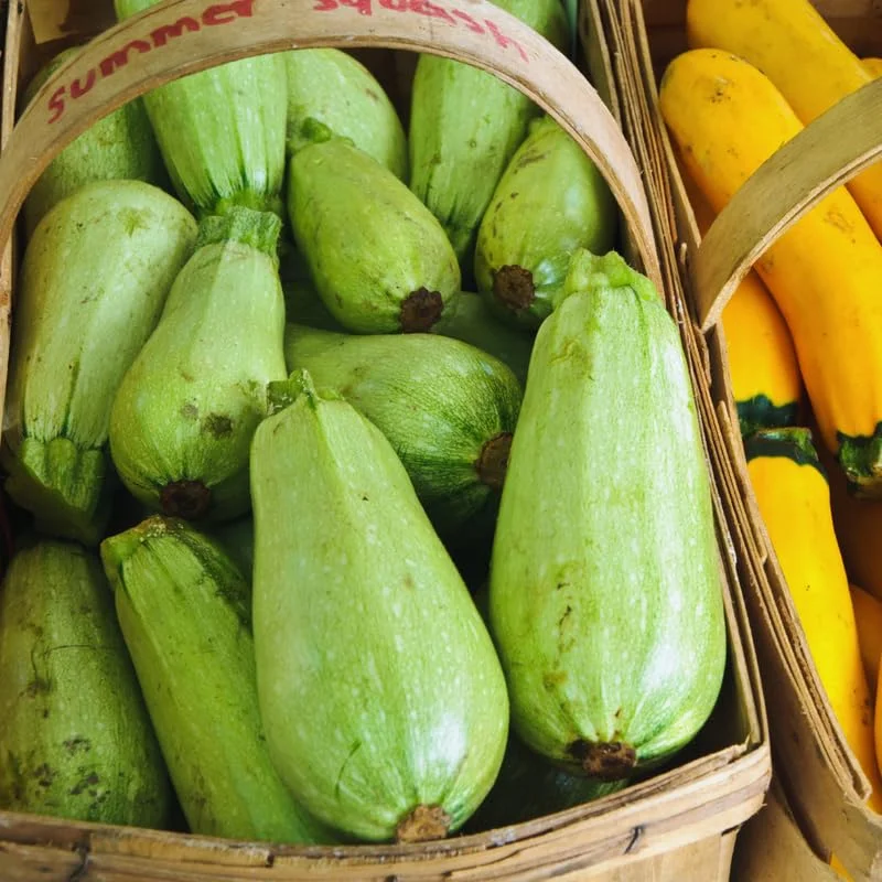 White Squash Seeds, White Zucchini Seeds, 25 Seeds, Squash Vegetable Seeds For Planting