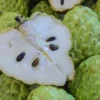 12 Sugar Apple Tree Seeds, Sweetsop Fruit Seeds, Sugar Apple Seeds For Planting Outdoor