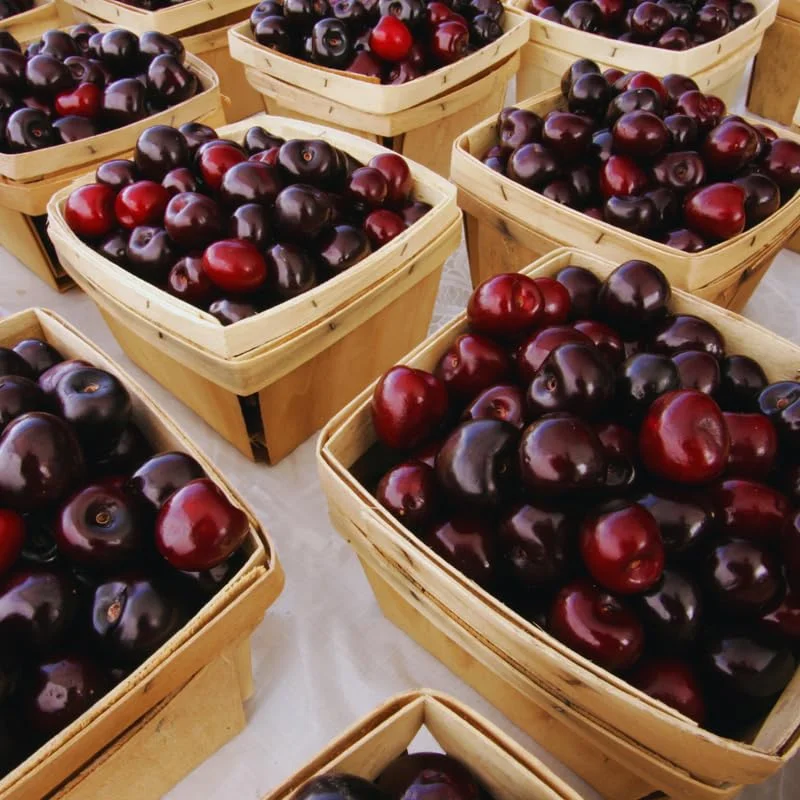 Black Cherry Seeds, 15 Sweet Fruit Seeds For Planting Growing, Black Cherry Seeds For Planting
