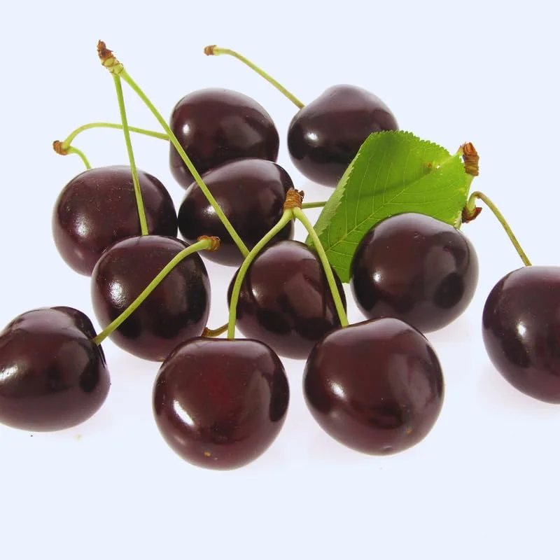 Black Cherry Seeds, 15 Sweet Fruit Seeds For Planting Growing, Black Cherry Seeds For Planting