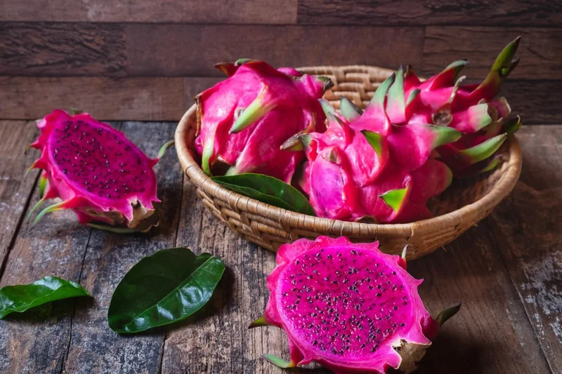 Dragon Fruit Plant Live, Red Dragon Fruit Plant Pot, 3 Gallon Pot, Live Dragon Fruit Plant, 2 to 3 Feet Tall, Dragon Fruit Live Plant, Sweet Fruit Plant