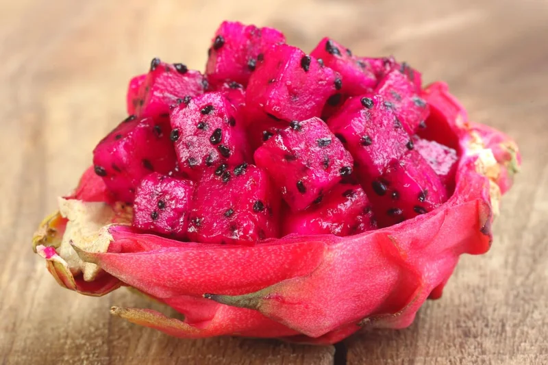 Dragon Fruit Plant Live, Red Dragon Fruit Plant Pot, 3 Gallon Pot, Live Dragon Fruit Plant, 2 to 3 Feet Tall, Dragon Fruit Live Plant, Sweet Fruit Plant