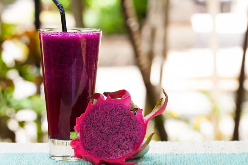 Red Dragon Fruit Plant Live, 3 Gallon Potted, Live Dragon Fruit Plant, Dragon Fruit Tree Plant, 2 to 3 Feet Tall, Dragon Fruit Live Plant, Sweet Fruit Plant