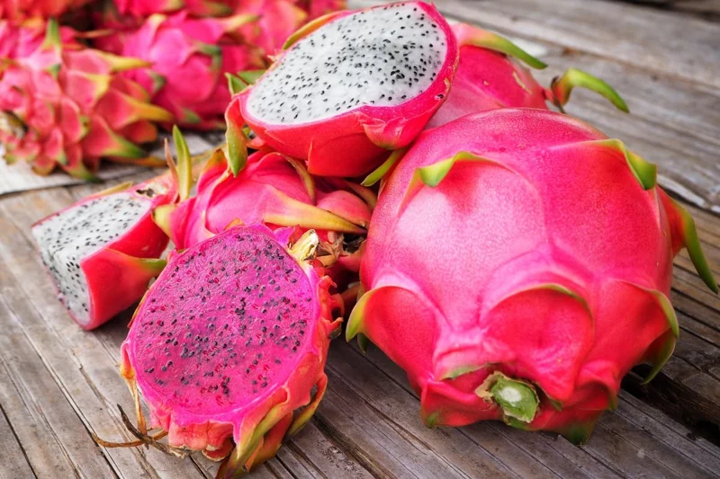 Red Dragon Fruit Plant Live, 3 Gallon Potted, Live Dragon Fruit Plant, Dragon Fruit Tree Plant, 2 to 3 Feet Tall, Dragon Fruit Live Plant, Sweet Fruit Plant