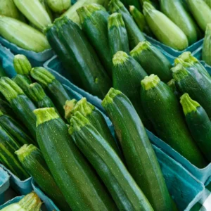 25 Grey Zucchini Summer Squash Seeds, Mexican Grey Squash Seeds for Planting Outdoor Indoor