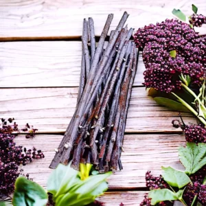 5 American Elderberry Cuttings, Black Elderberry Plant Live Unrooted 5-8 Inch Tall, Elderberry Fruiting Shrub Large Berry Clusters