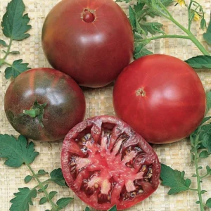 100 Heirloom Tomato Seeds for Planting Outdoors, Garden Vegetable Seeds - Cherokee Purple Tomato