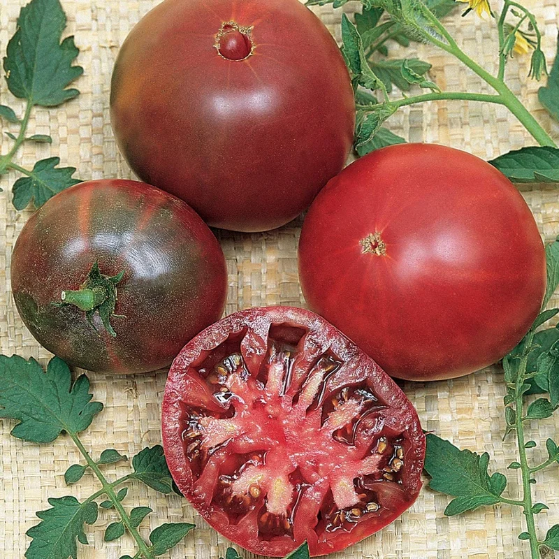 100 Heirloom Tomato Seeds for Planting Outdoors, Garden Vegetable Seeds - Cherokee Purple Tomato
