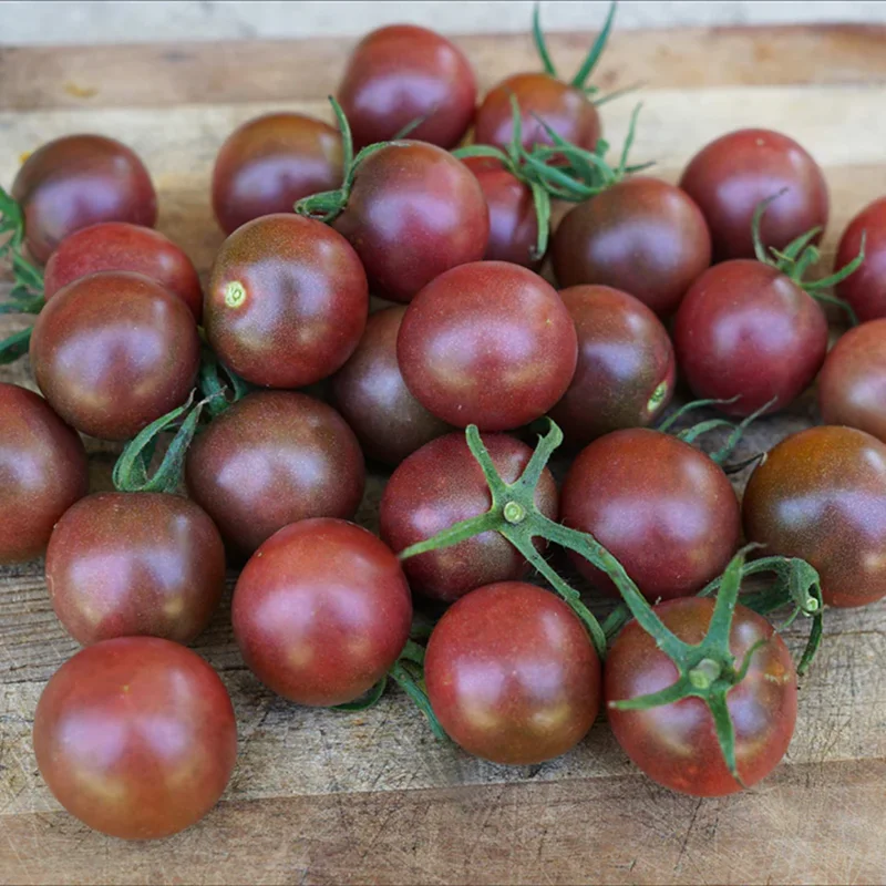 100 Heirloom Tomato Seeds for Planting Outdoors, Garden Vegetable Seeds - Chocolate Tomato