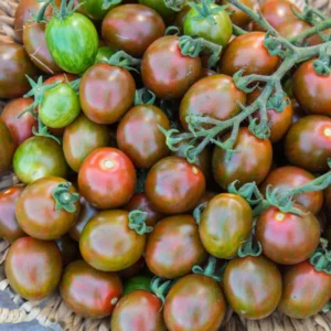 100 Heirloom Tomato Seeds for Planting Outdoors, Garden Vegetable Seeds - Black Cherry Tomato