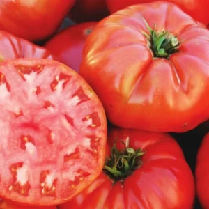 50 Heirloom Tomato Seeds for Planting Outdoors, Garden Vegetable Seeds - Brandywine Tomato