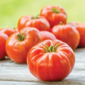 Mortgage Lifter Tomato Plants - Lot 4 Plants, 6