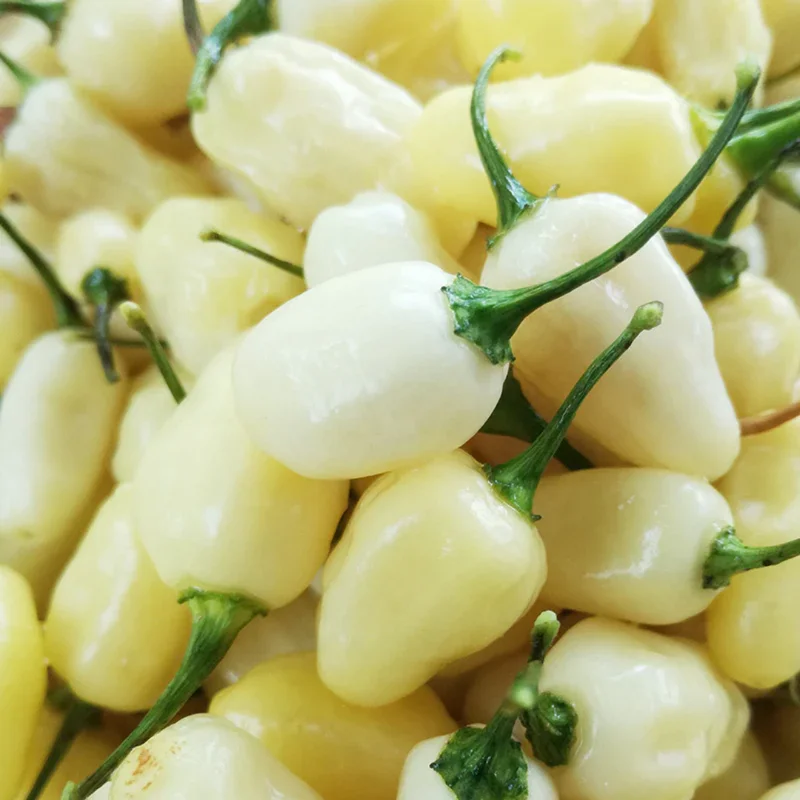 50 Pepper Seeds for Planting Outdoors, Garden Vegetable Seeds