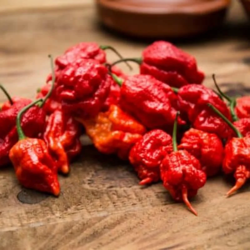 50 Pepper Seeds for Planting Outdoors, High Germination Rate, Non GMO, Heirloom Seeds - Carolina Reaper Pepper Seeds