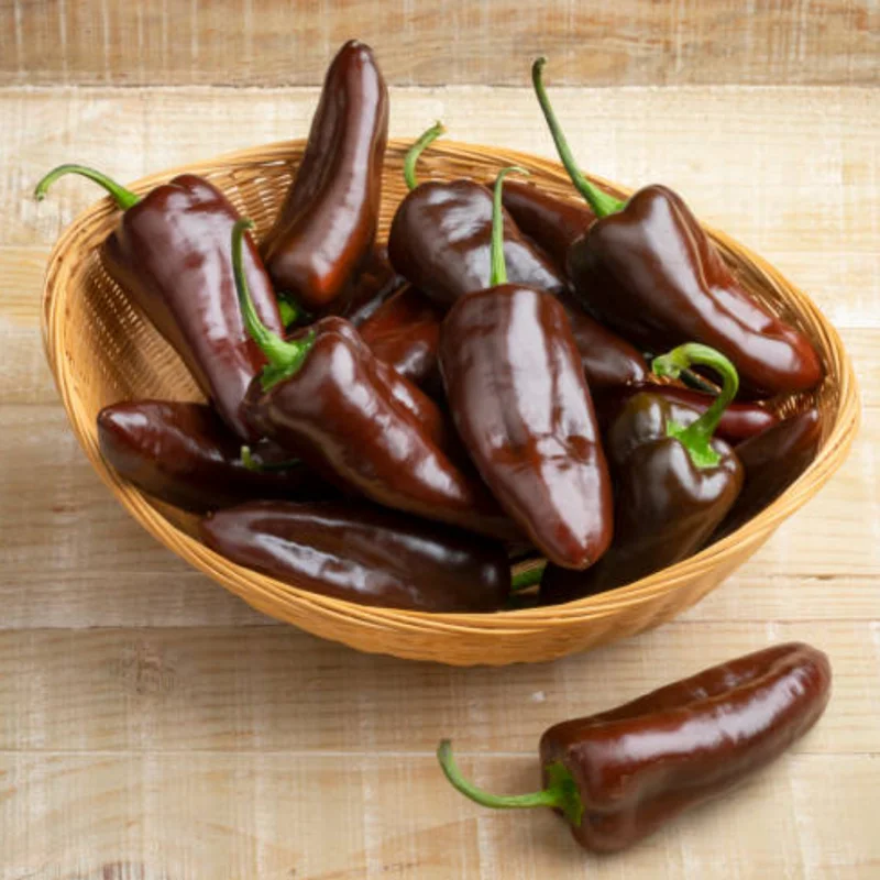 50 Pepper Seeds for Planting Outdoors, High Germination Rate, Non GMO, Heirloom Seeds - Sweet Chocolate Pepper Seeds