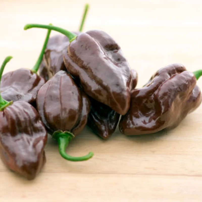 50 Pepper Seeds for Planting Outdoors, High Germination Rate, Non GMO, Heirloom Seeds - Sweet Chocolate Pepper Seeds