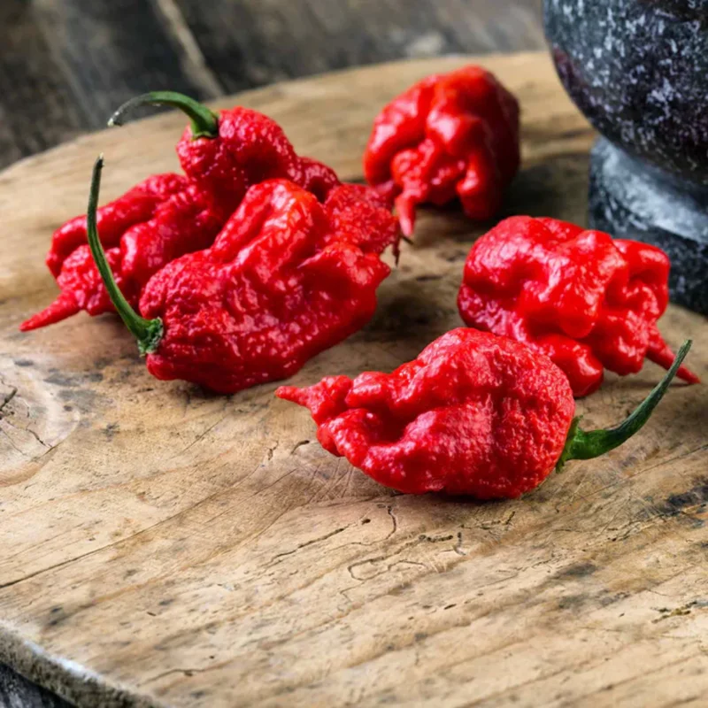 100 Pepper Seeds for Planting Outdoors, High Germination Rate, Non GMO, Heirloom Seeds - Carolina Reaper Pepper Seeds