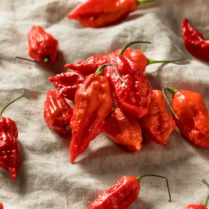 100 Pepper Seeds for Planting Outdoors, High Germination Rate, Non GMO, Heirloom Seeds - Red Bhut Pepper Seeds